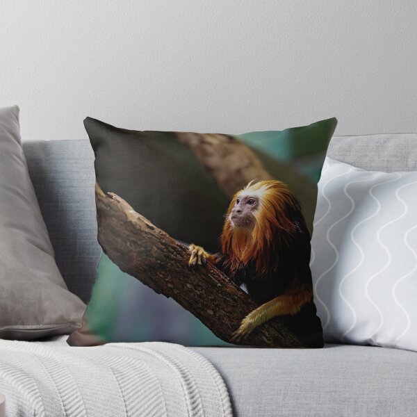 Item preview, Curious Monkey designed and sold by billduncan.