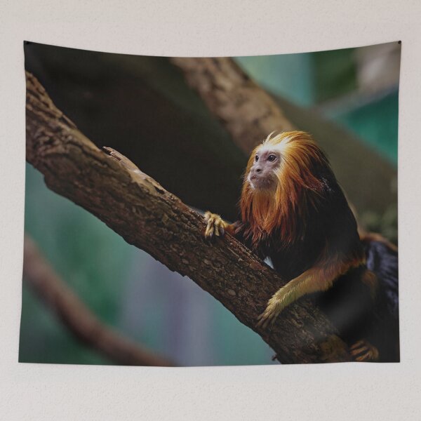 Item preview, Curious Monkey designed and sold by billduncan.
