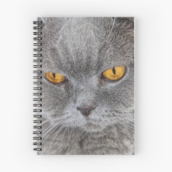 Item preview, British shorthair cat designed and sold by carrizizi.