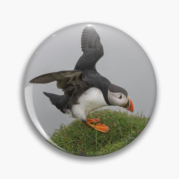 Item preview, Puffin Walk designed and sold by NPellkofer.