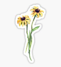 Black Eyed Susan's Sticker