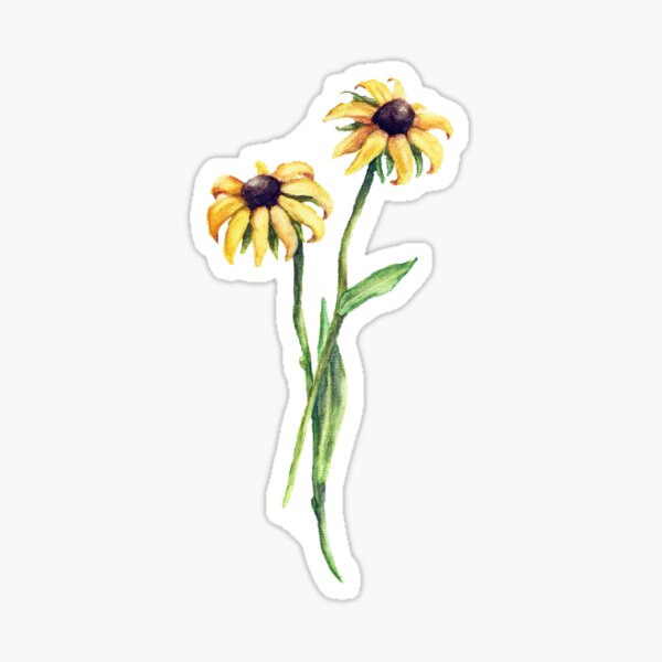 Black Eyed Susan's Sticker