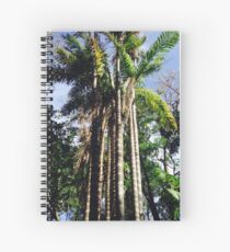 Cuaderno de espiral Palm Trees