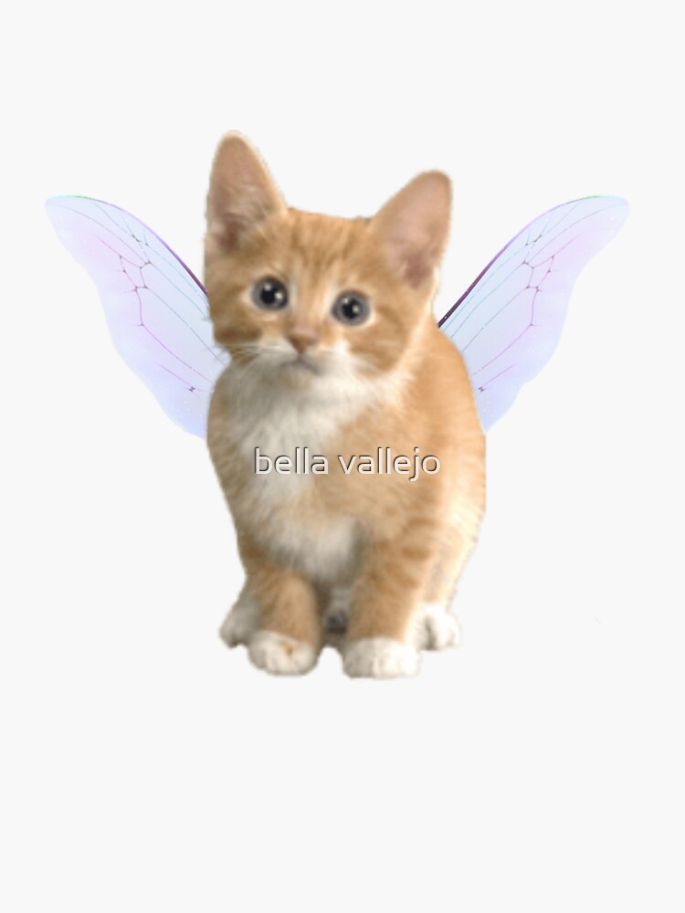 fairy cat by ivallejo