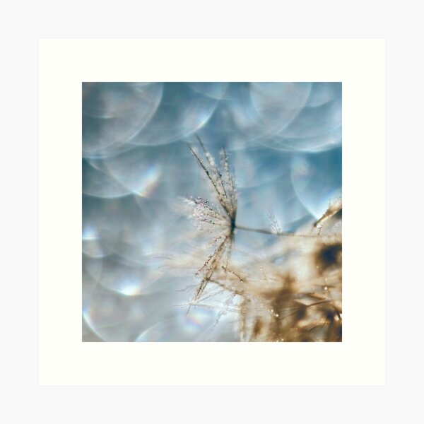 Item preview, Dandelion on Blue Bokeh designed and sold by Peggy Collins.