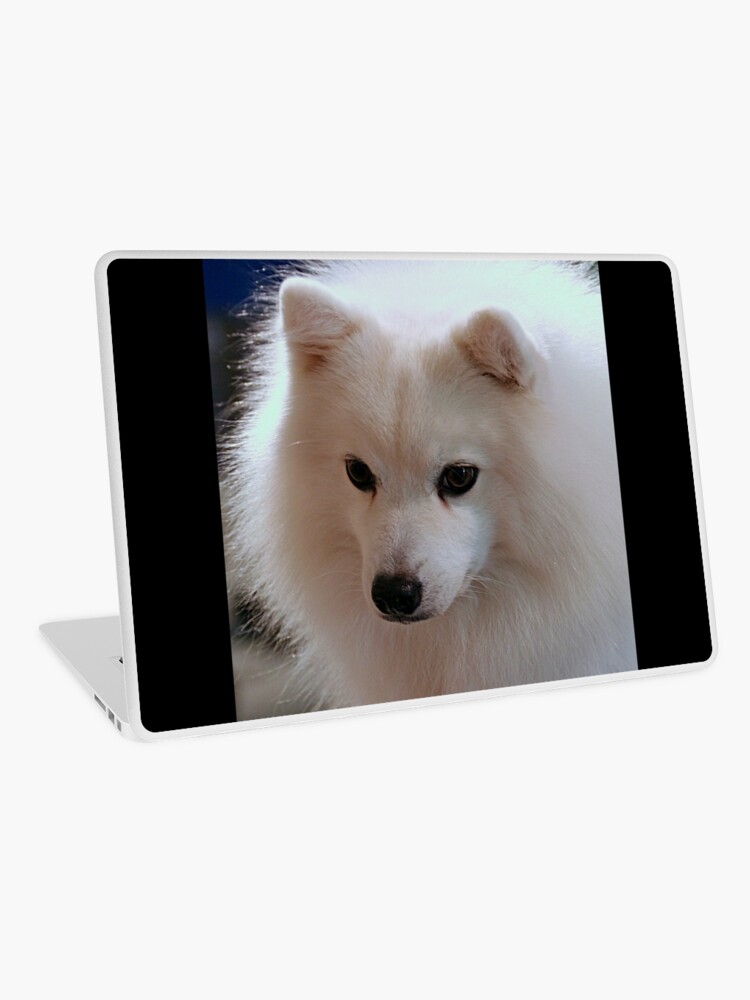 Oreo A Japanese Spitz Laptop Skin