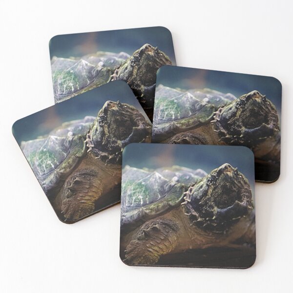 Item preview, Snappy Turtle designed and sold by billduncan.