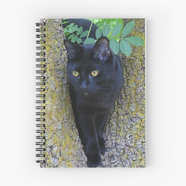 Item preview, Black Cat In A Tree designed and sold by Jenny Brice.