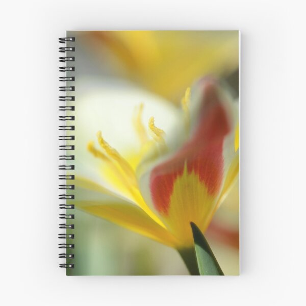 Item preview, Tulip Fantasy designed and sold by Mikeinbc1.