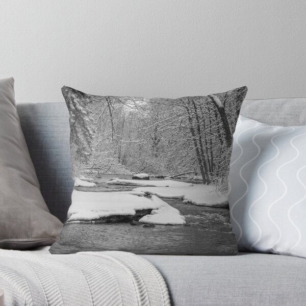 Item preview, Winter At Brainards Bridge Park 2016-1 designed and sold by Thomasyoung.