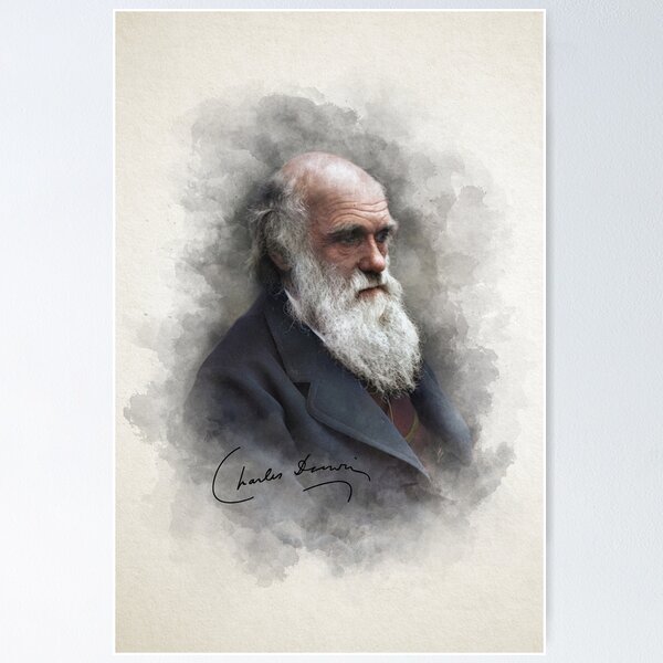 Item preview, Charles Darwin Portrait Art designed and sold by KAI-Studio.