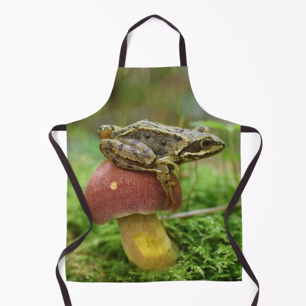 Item preview, Frog-stool designed and sold by Alan Gregg.