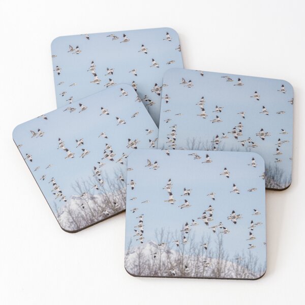 Item preview, Snow Buntings Take Flight designed and sold by Ian Christopher.
