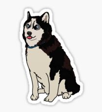 Staring Husky Sticker