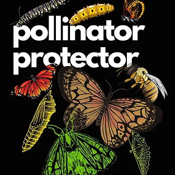 Artwork thumbnail, Pollinator Protector Native Insects Designs by EarthArtDesigns