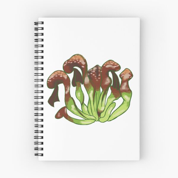 Aperçu de l'œuvre plante carnivore (darligntonia) créée et vendue par Michorgeman.