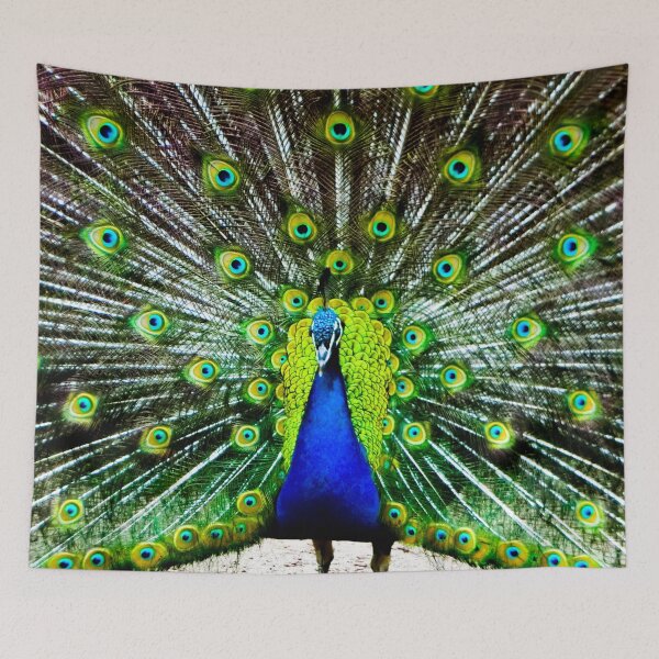 Item preview, Photography - Beautiful colorful peacock designed and sold by Karolien Kenis.