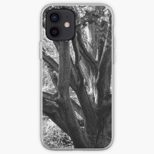 Tree of time iPhone Soft Case