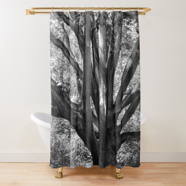 Tree of time Shower Curtain