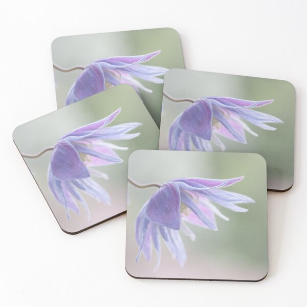 Item preview, Clematis macropetala designed and sold by Alan Gregg.