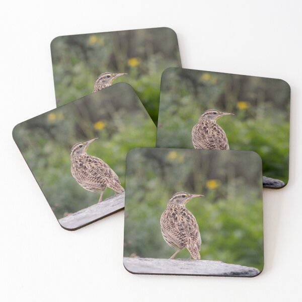 Item preview, Western Meadowlark designed and sold by Ian Christopher.