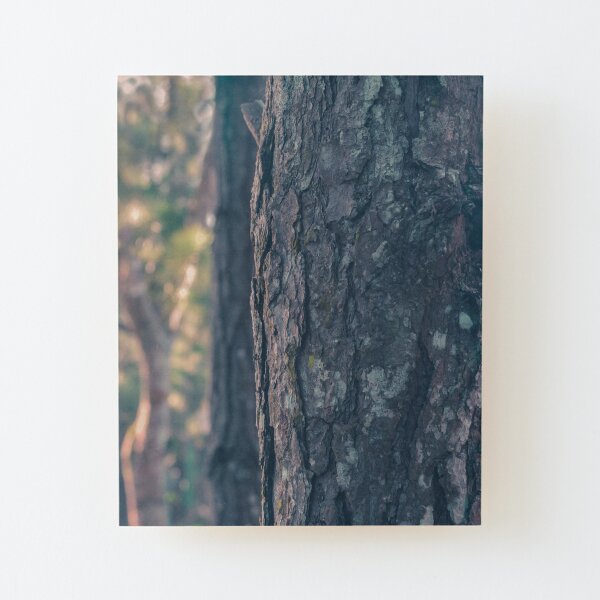 Tree Bark Fantasy Theme Wood Mounted Print