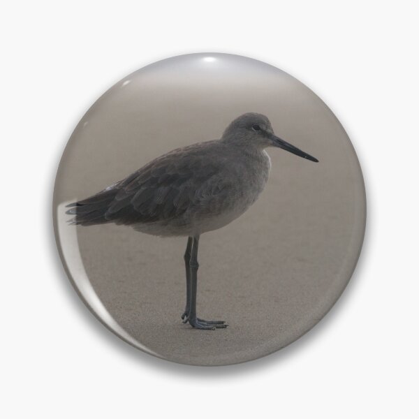 Item preview, Willet on the Beach designed and sold by Ian Christopher.