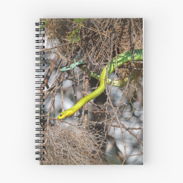 Item preview, Boomslang designed and sold by Owed To Nature.