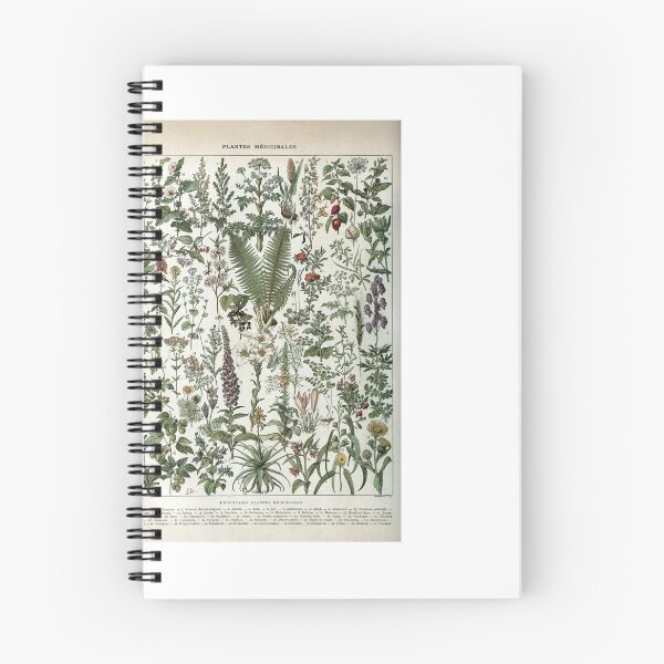 Item preview, Medicinal PlantsVintage  Illustration designed and sold by SFTStudio.
