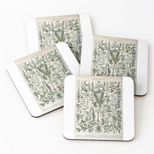 Item preview, Medicinal PlantsVintage  Illustration designed and sold by SFTStudio.