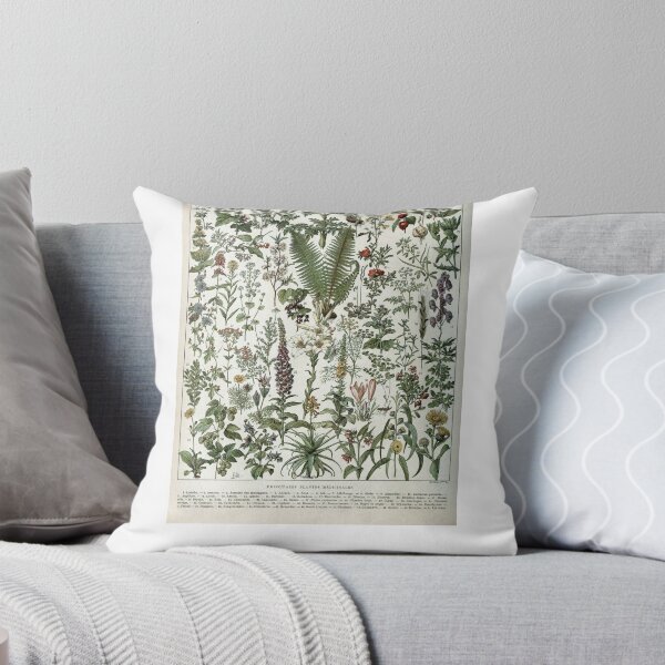 Item preview, Medicinal PlantsVintage  Illustration designed and sold by SFTStudio.