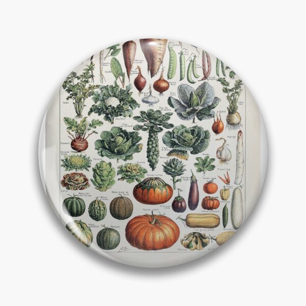 Item preview, Ilustración de vegetales vintage designed and sold by SFTStudio.