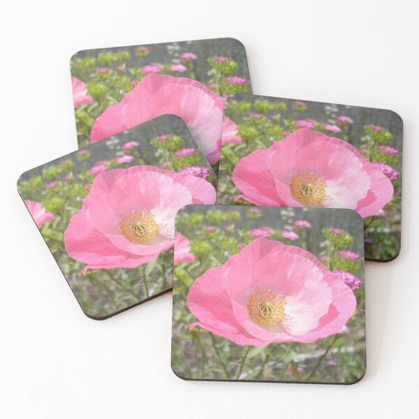 Item preview, Red poppies discolored to pink because of rain designed and sold by Grégory DUBUS.