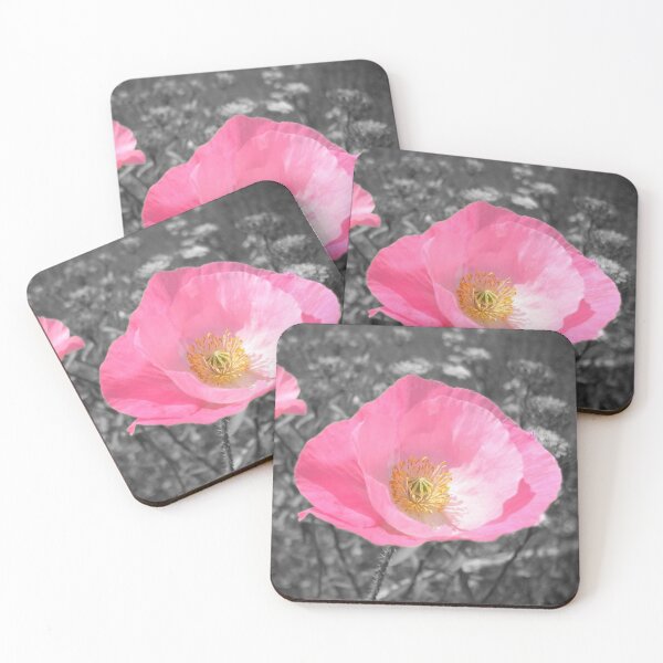 Item preview, Red poppies discolored to pink because of rain selective color designed and sold by Grégory DUBUS.