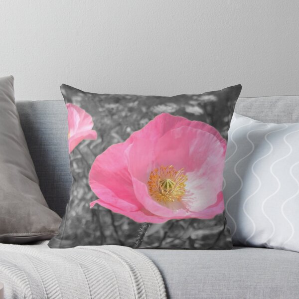 Item preview, Red poppies discolored to pink because of rain selective color designed and sold by Grégory DUBUS.