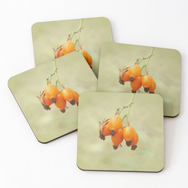 Item preview, Rose Hip in Autumn Rhapsody designed and sold by ALEX PHOTO DREAMS.