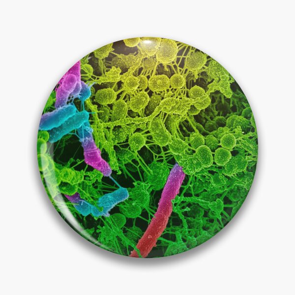 Item preview, COLORED STREP BACTERIA MICROSCOPIC VIEW PHOTO IMAGE MEDICAL LABORATORY SCIENTIST designed and sold by Hippiesole.