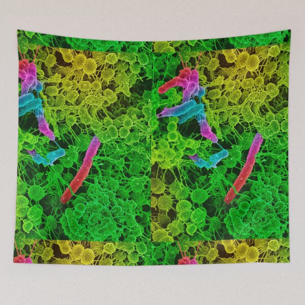 Item preview, COLORED STREP BACTERIA MICROSCOPIC VIEW PHOTO IMAGE MEDICAL LABORATORY SCIENTIST designed and sold by Hippiesole.