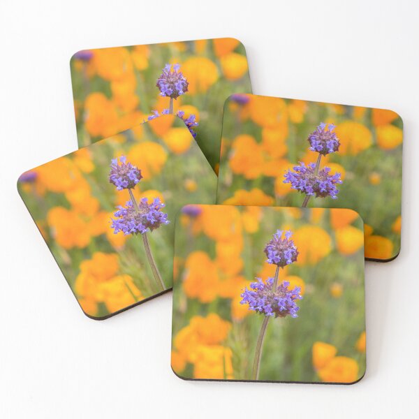 Item preview, Chia Among the Poppies designed and sold by Ian Christopher.