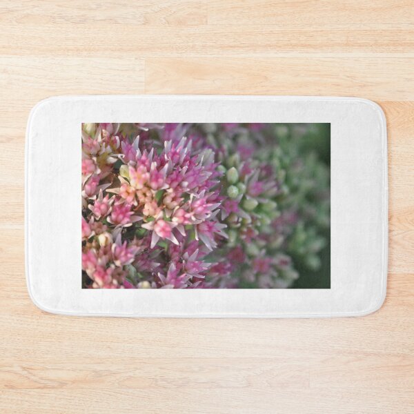 Item preview, Sedum designed and sold by MaryLynn.