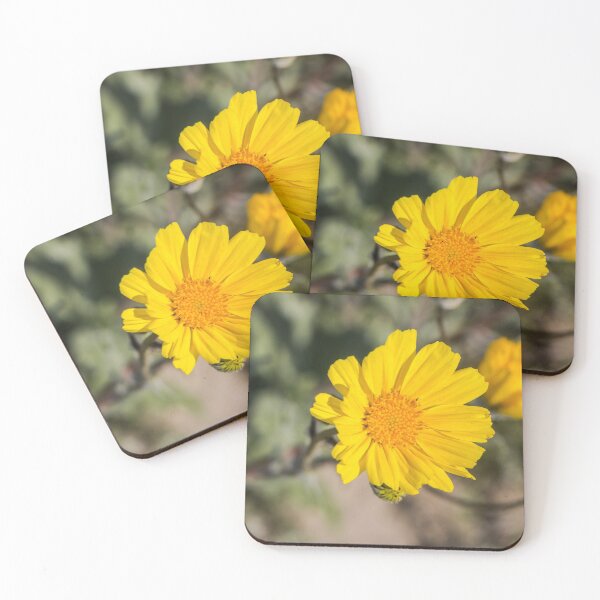 Item preview, Desert Sunflower designed and sold by Ian Christopher.