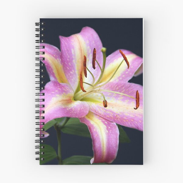 Item preview, Vivacious Lily designed and sold by vette.