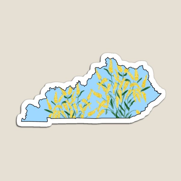 Kentucky Magnet
