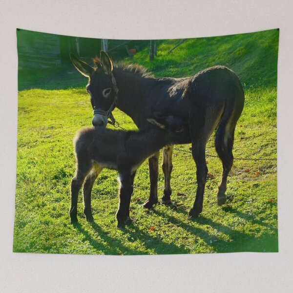 Item preview, Parental Love, Baby Donkey and His Mother designed and sold by ALEX PHOTO DREAMS.