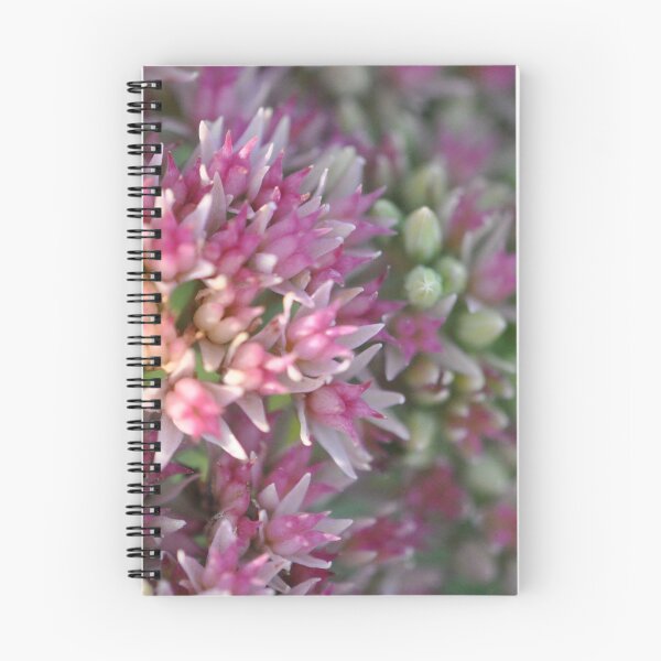 Item preview, Sedum designed and sold by MaryLynn.