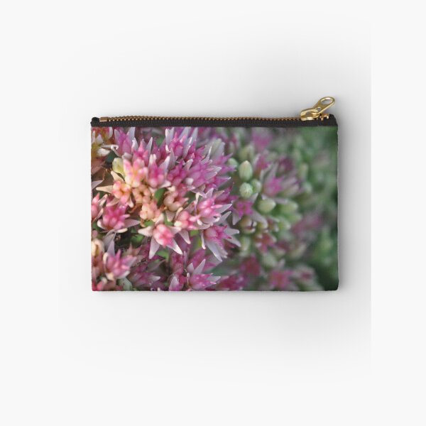 Item preview, Sedum designed and sold by MaryLynn.