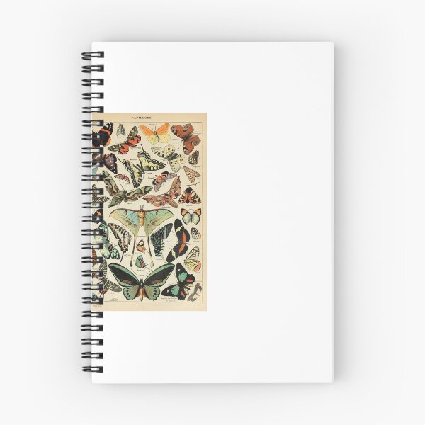 Aperçu de l'œuvre Imprimé Papillon Vintage - Papillons Pour Tous créée et vendue par SFTStudio.