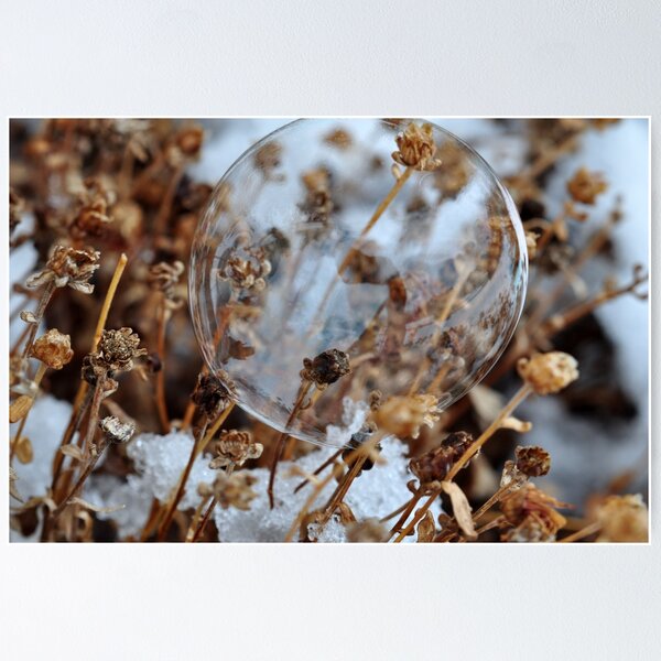 Item preview, Snow Bubble designed and sold by MaryLynn.