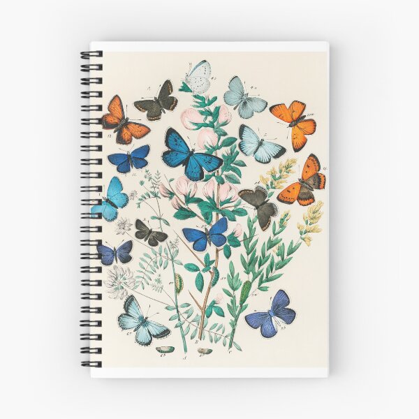 Aperçu de l'œuvre Art de papillon vintage créée et vendue par SFTStudio.