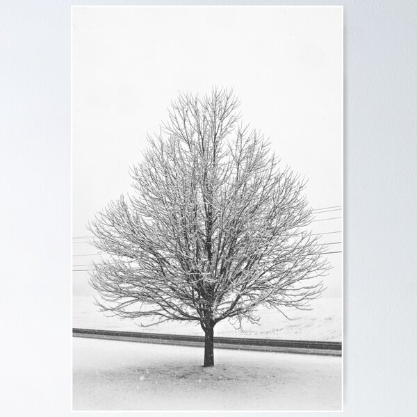 Item preview, January 7 - Winter Wonderland designed and sold by StormChaseSam.